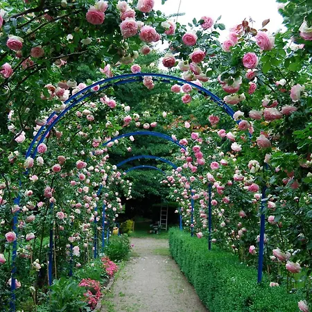 Le Mundhome - D'hotes B&b- Strasbourg Eurometropole Bed and Breakfast *