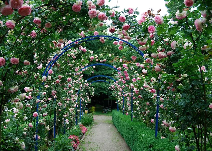 Le Mundhome - D'hotes B&b- Strasbourg Eurometropole Bed and Breakfast *